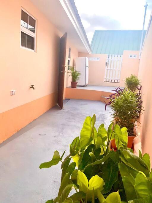 Centrally Located, Private, 1 Bedroom Apartment. Willemstad Exterior photo